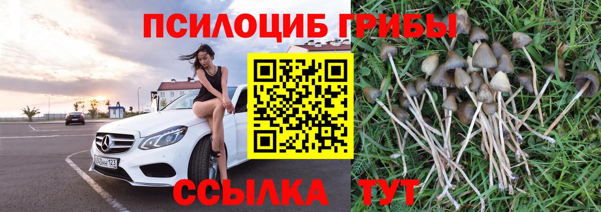 Псилоцибиновые грибы ЛСД Кстово