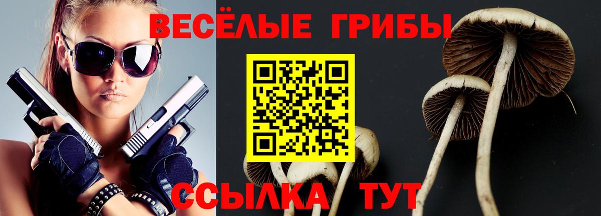Псилоцибиновые грибы мицелий  Галлюциногенные грибы мицелий  Кстово  Вход с VPN 